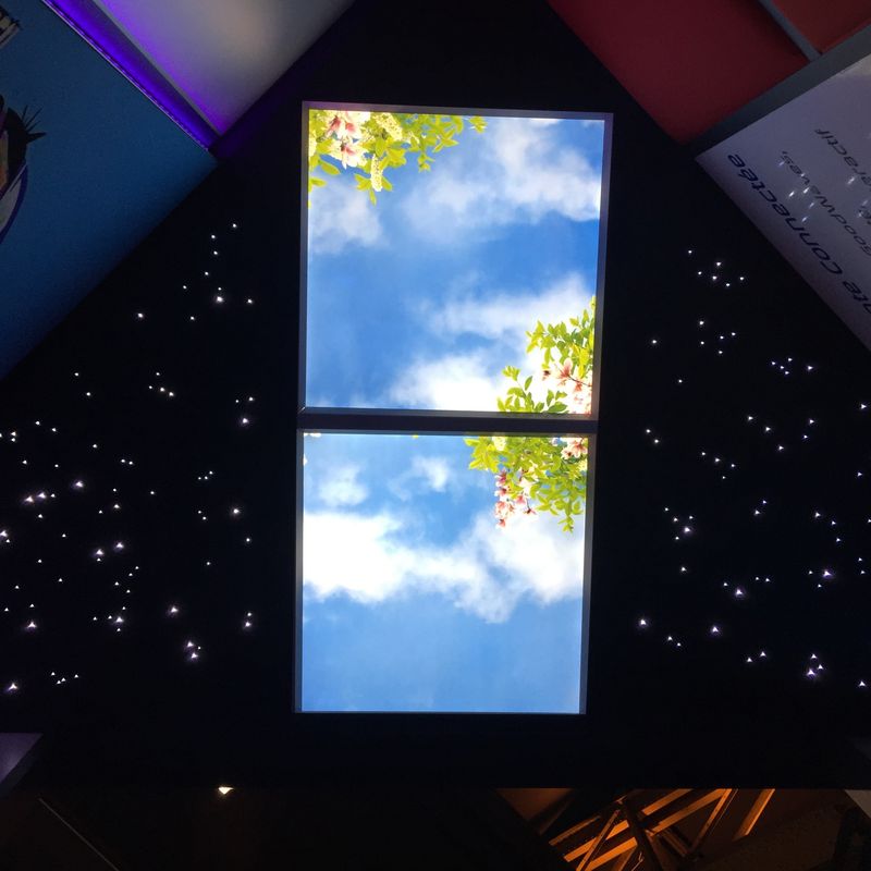 Installation de faux plafond en dalle lumineuse à Lyon