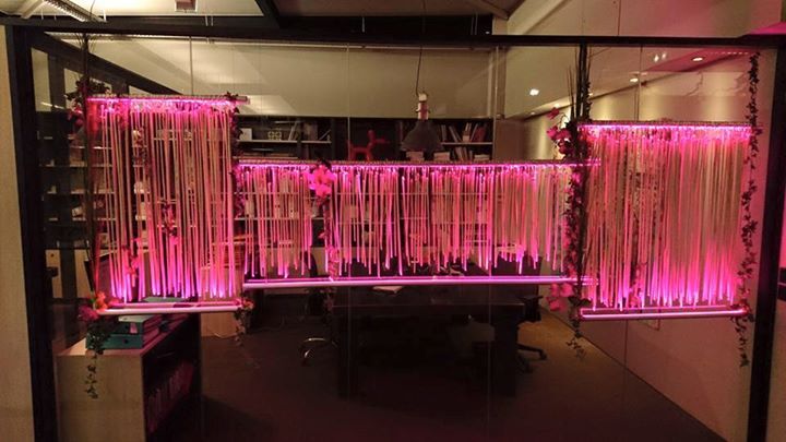 Cloison lumineuse à Saint-Etienne